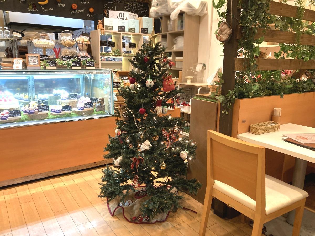 ショーケースの前を彩るクリスマスツリー