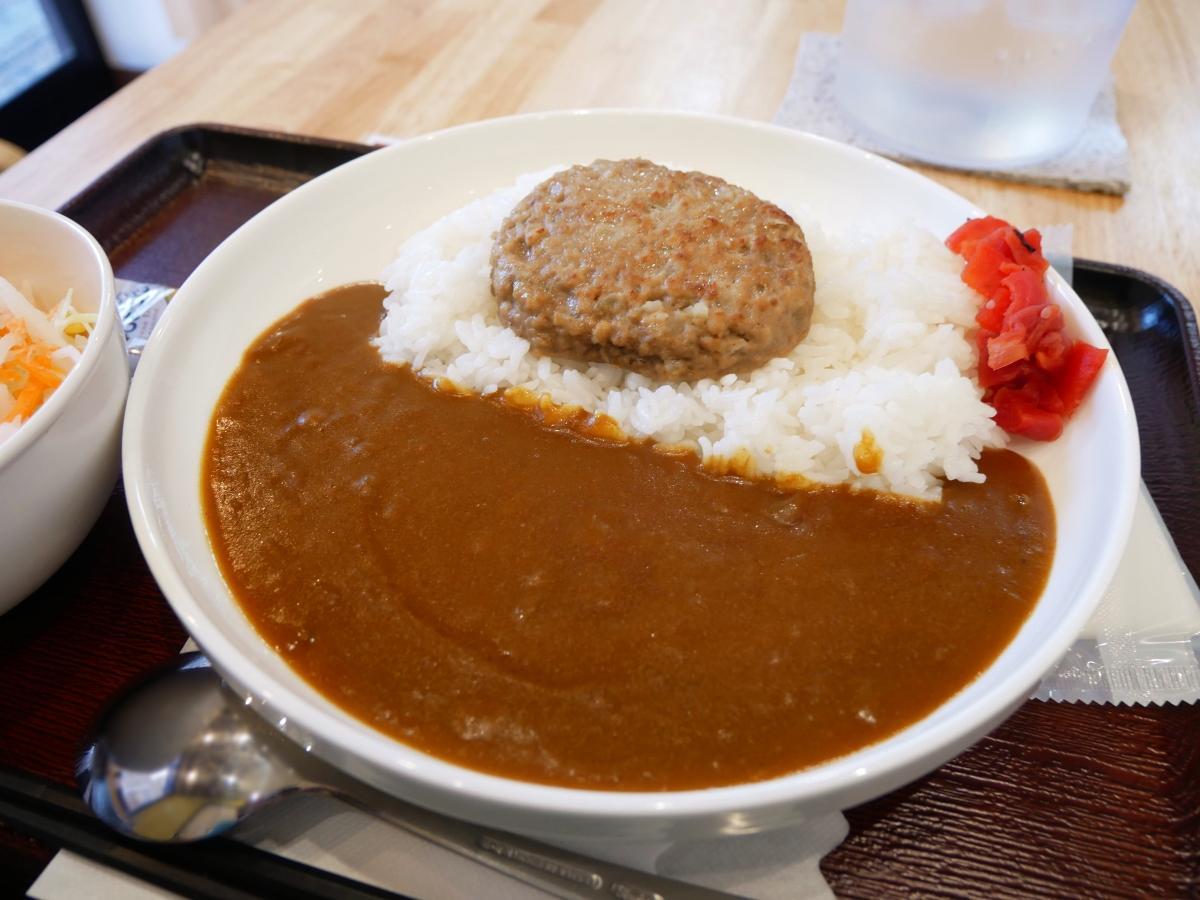 だしが活きたカレーのあじわいが広がる