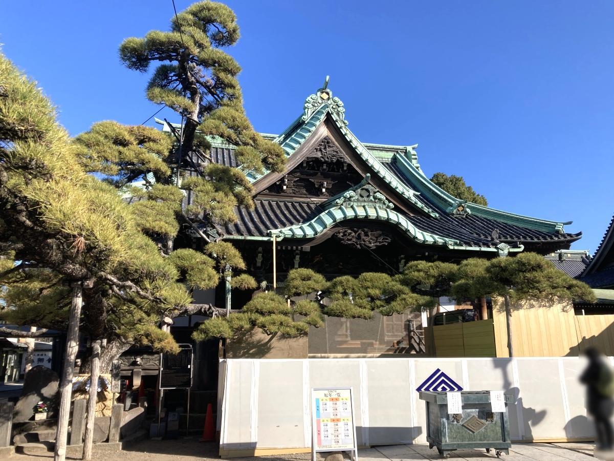 瑞龍のマツと帝釈堂