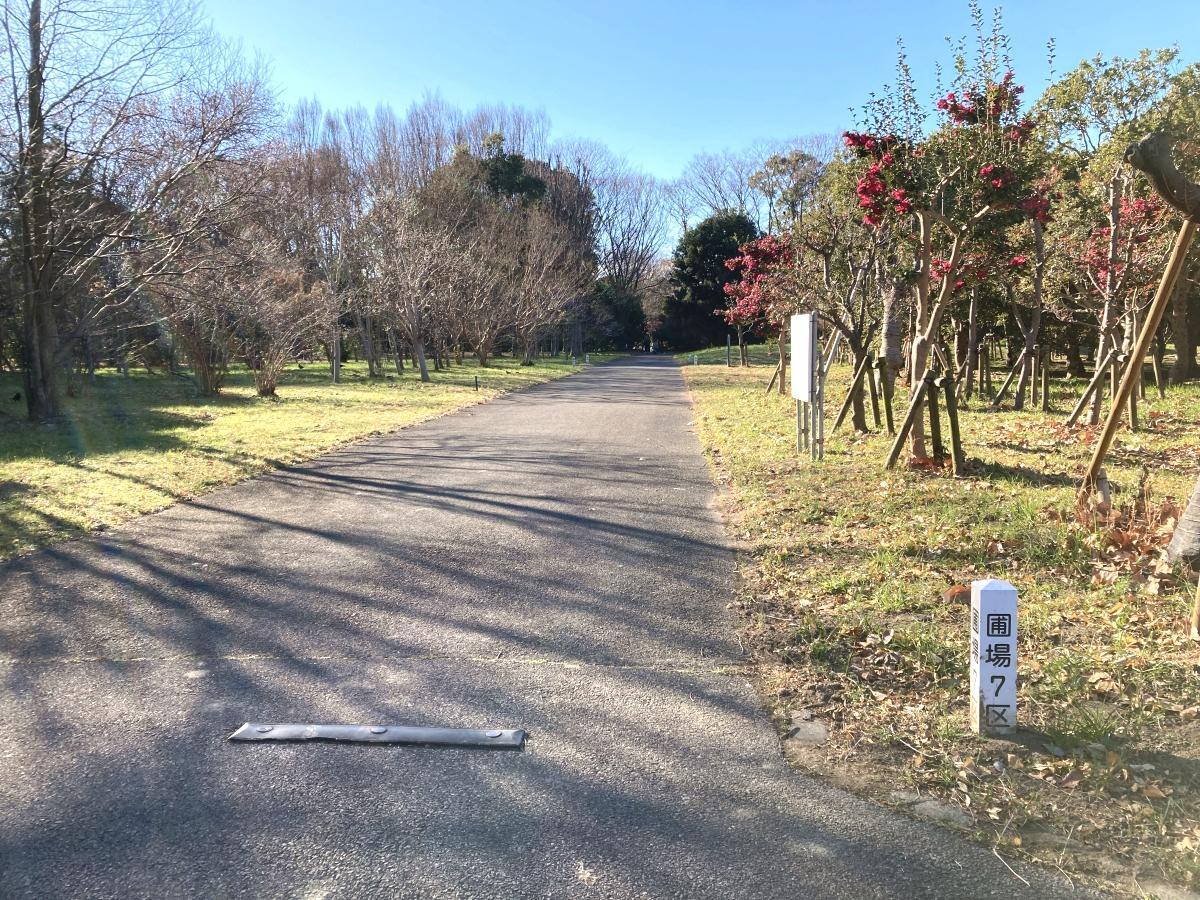 多彩な木々が並ぶ水元公園の苗圃