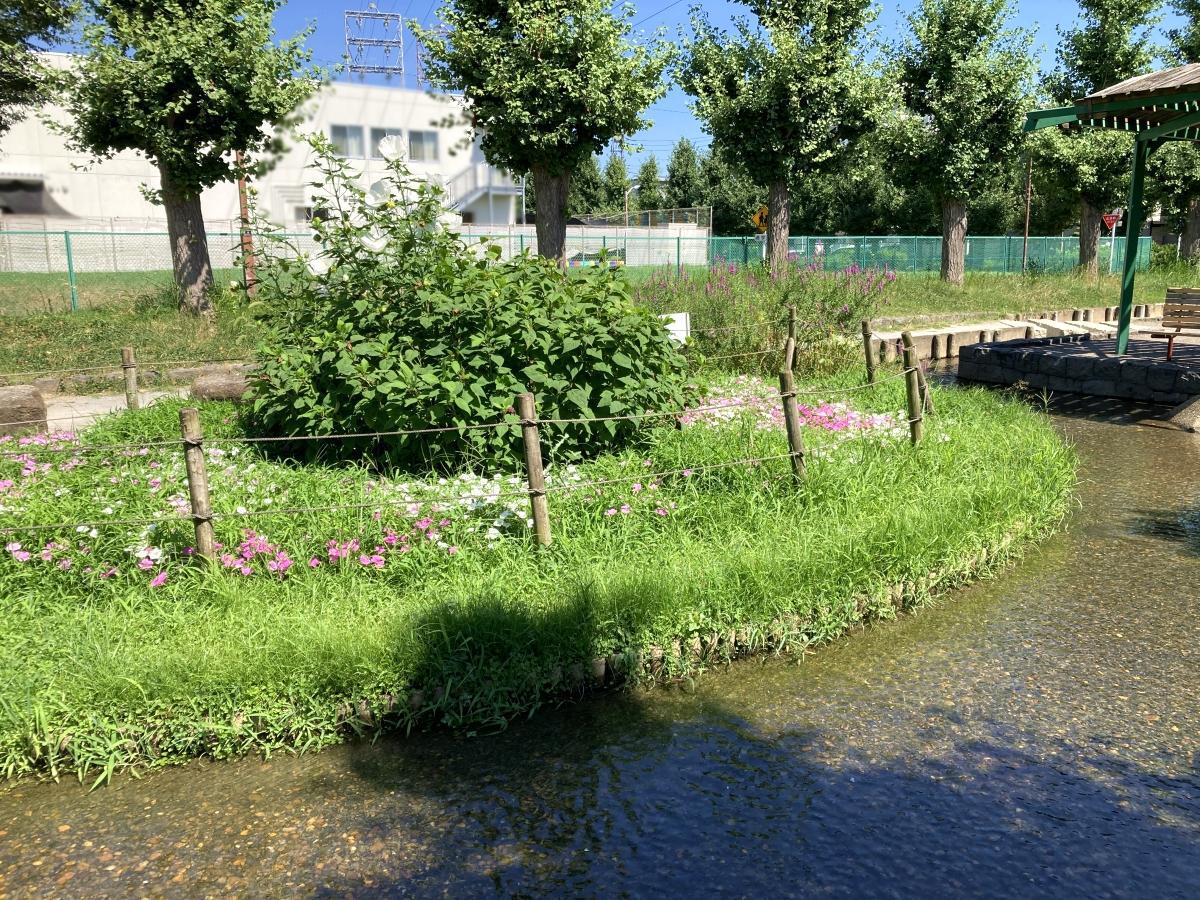 葛飾区】せせらぎが心地よい人工水路で水遊び！西亀有せせらぎ