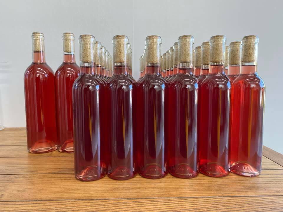 2020年ヴィンテージの「岡上ロゼ」は正真正銘の川崎産ワインとなる