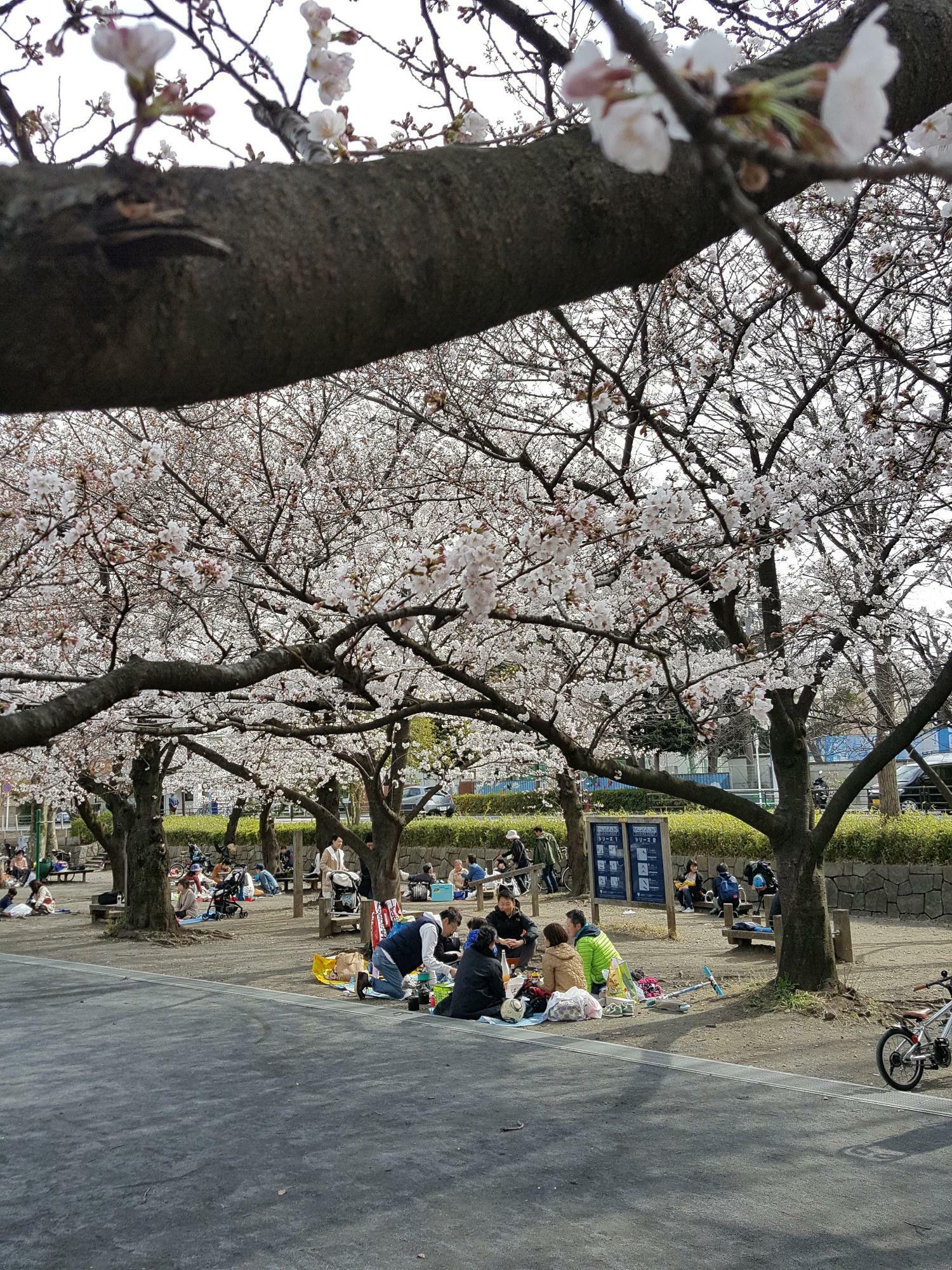 等々力緑地　催しもの広場