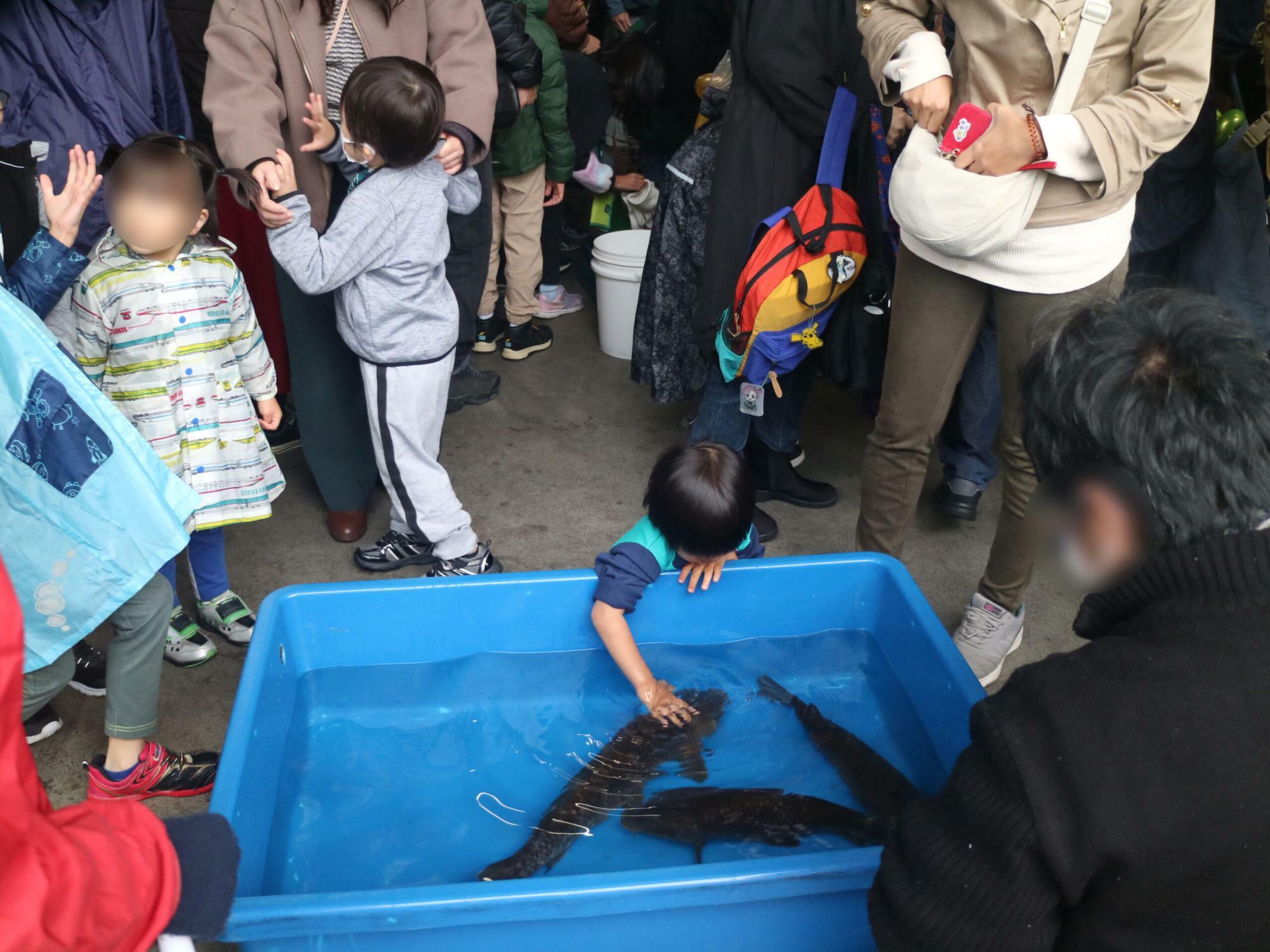 公式サイトより移動水族館