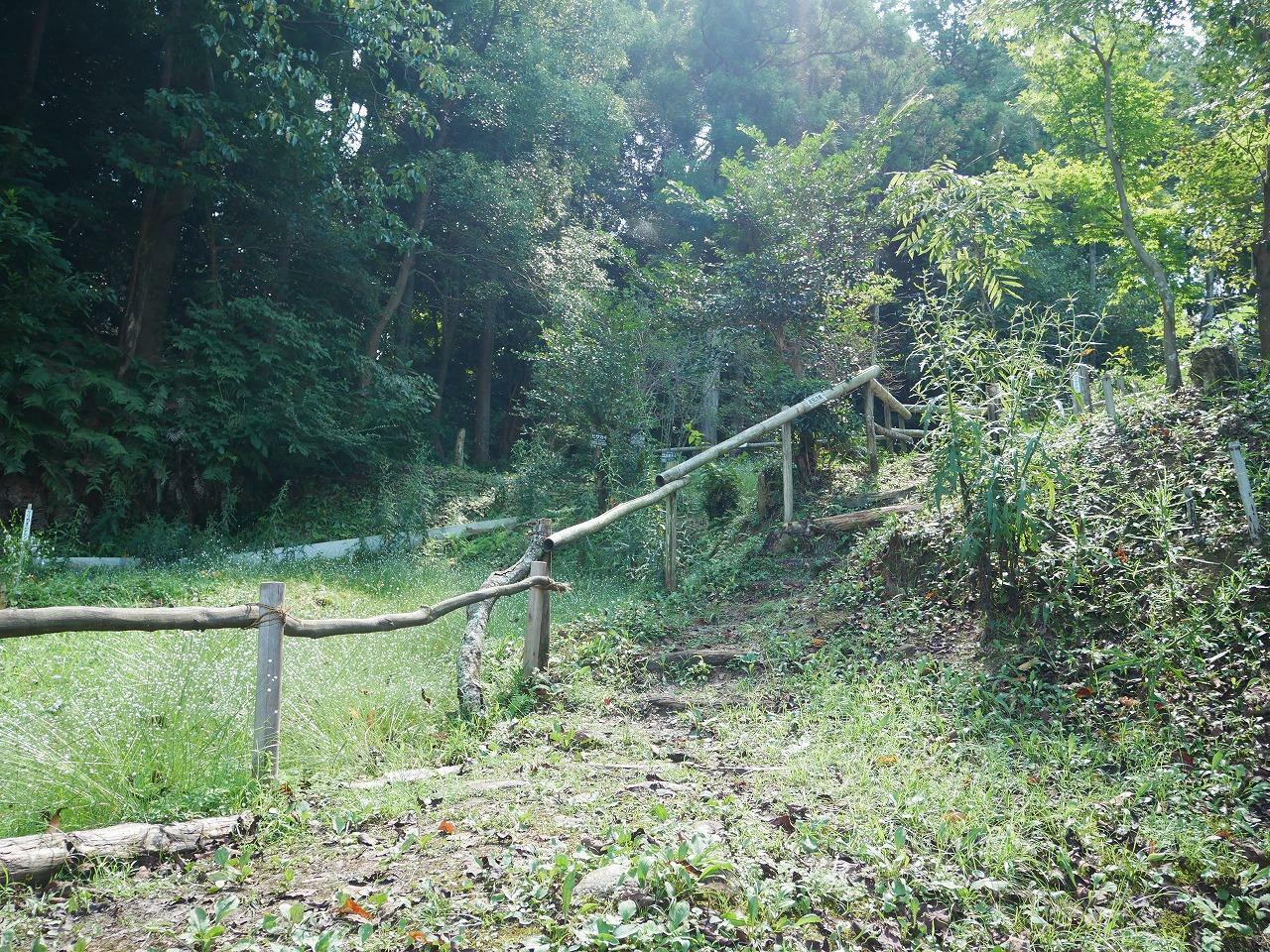 右側奥へと続く階段