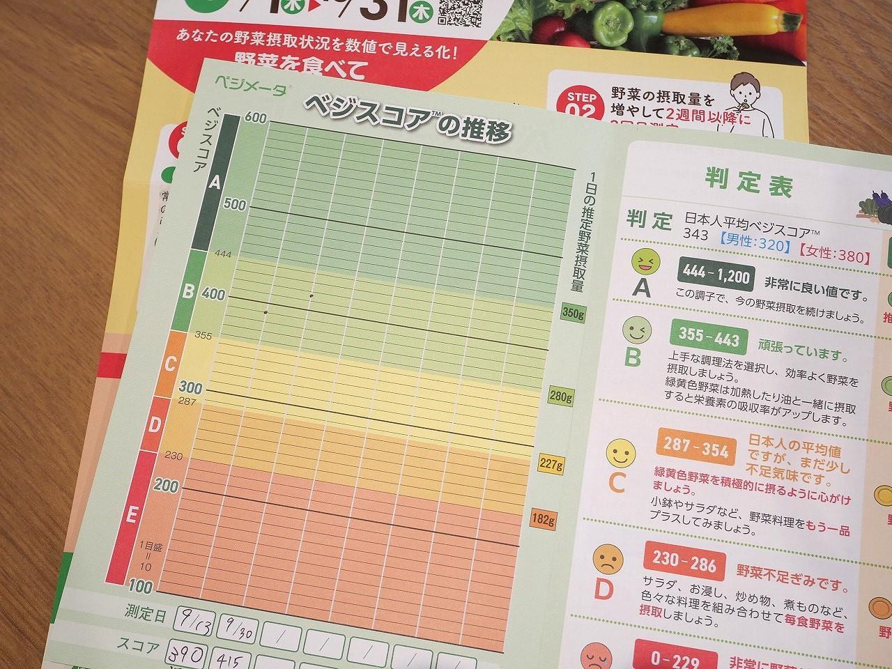 私のベジスコア（TM）2024（1回目390、2回目415）