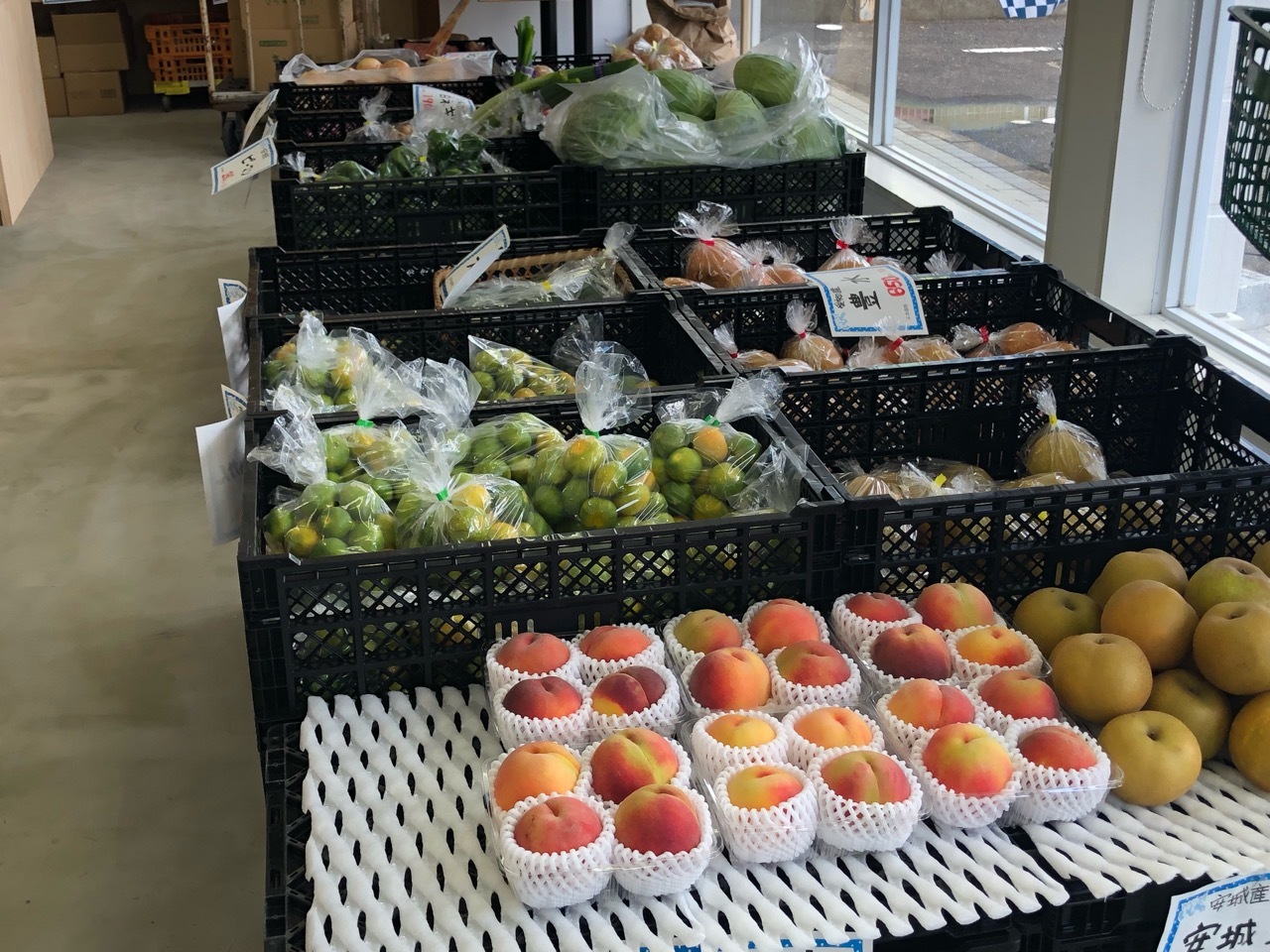 「とうふや豆蔵 豊田住吉店」