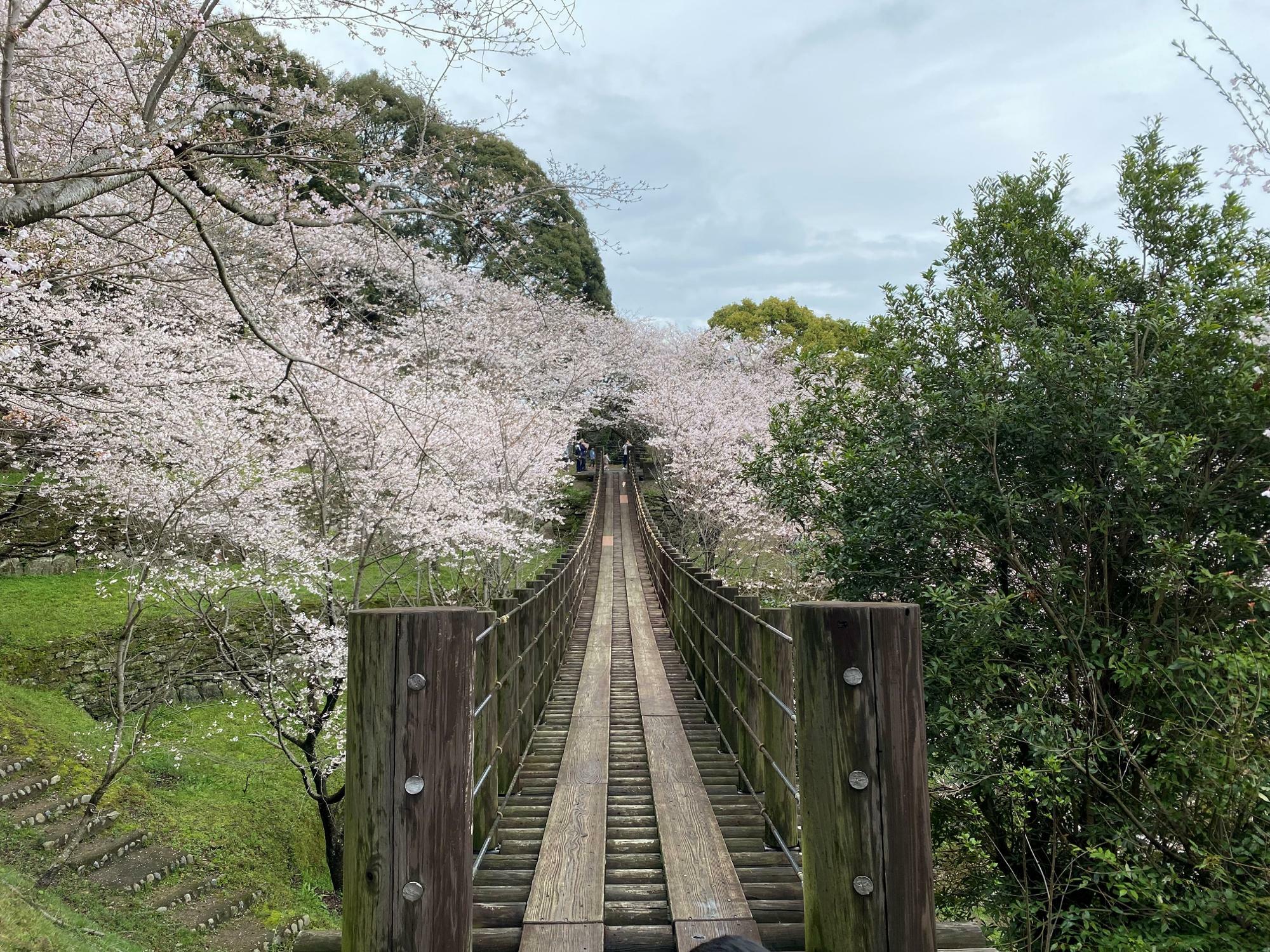 【長崎市】城地跡を活かした、自然豊かな琴海中央公園（あつ