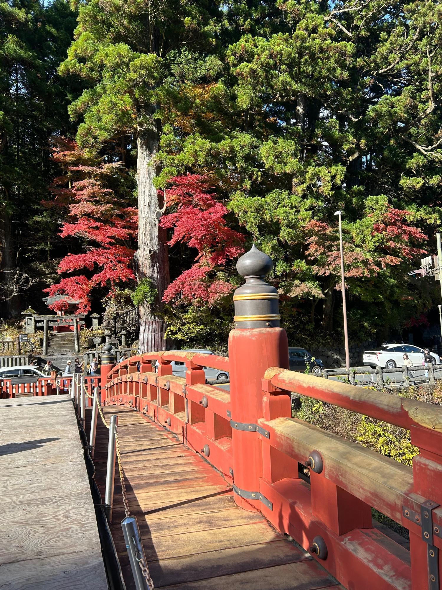 漆塗りの朱色と奥に見える紅葉が映えます