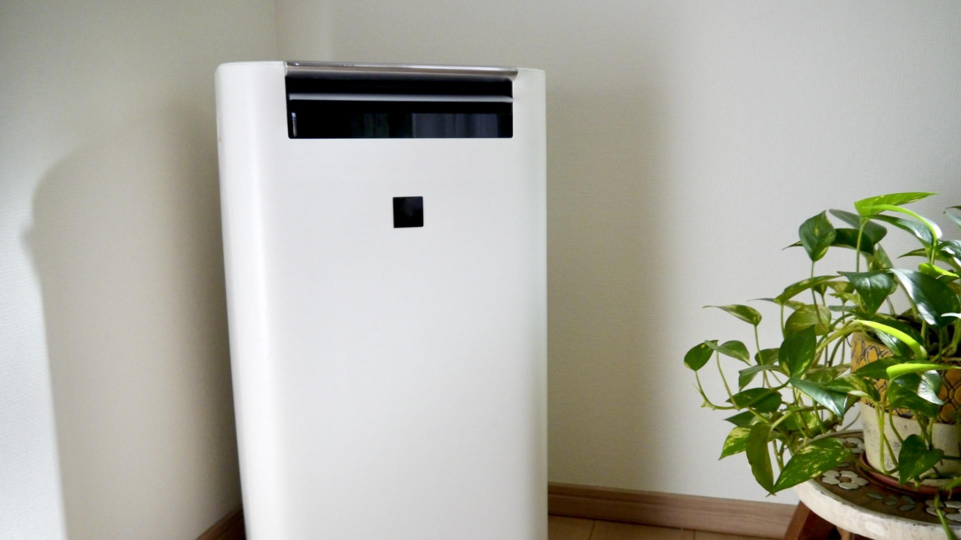 空気清浄機・加湿器の花粉対策は「使い方」で差が出る！やめた方がいい