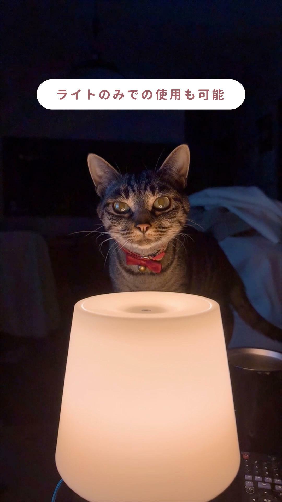 猫ちゃんにアロマはNGですが、アロマを入れなければランプとして使うことができます。