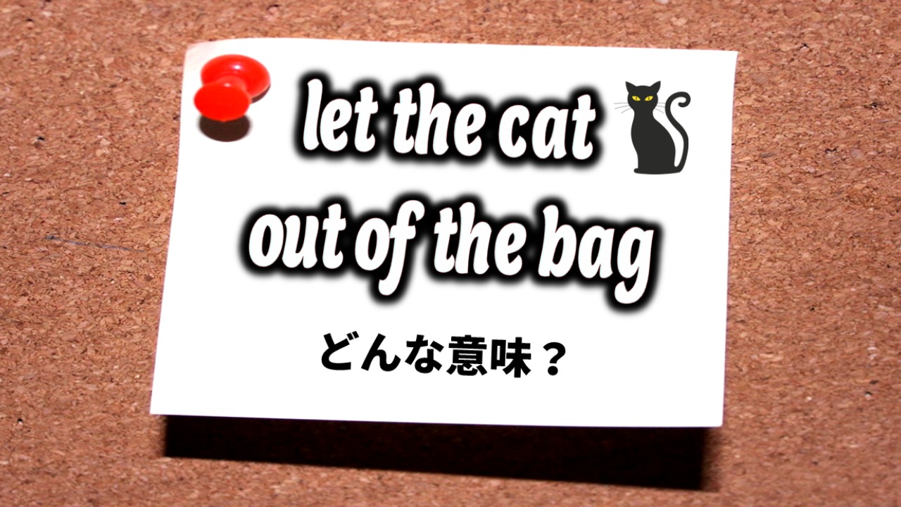 英会話】「let the cat out of the bag」ってどんな意味？（番場直之
