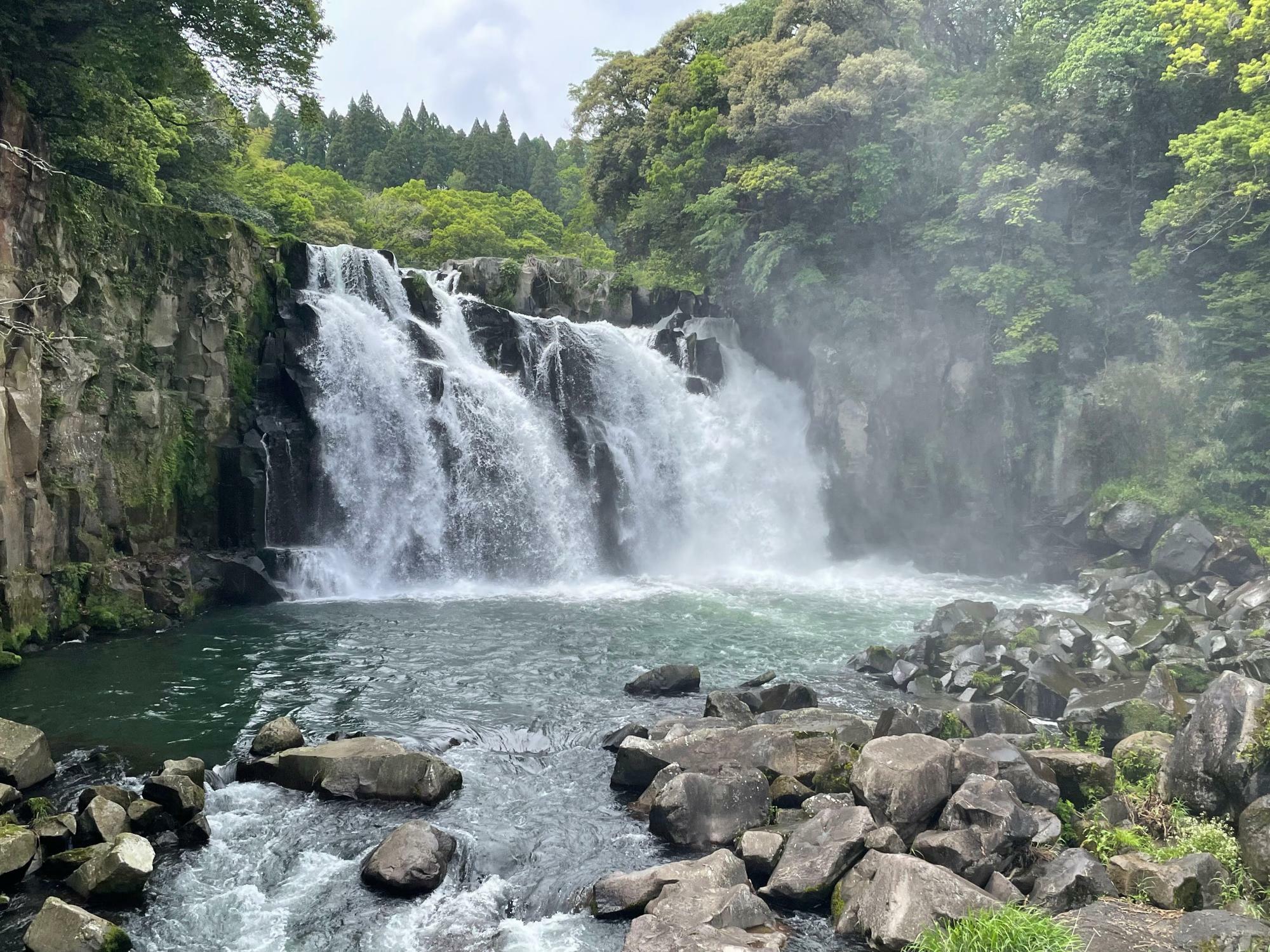 5月に撮った写真