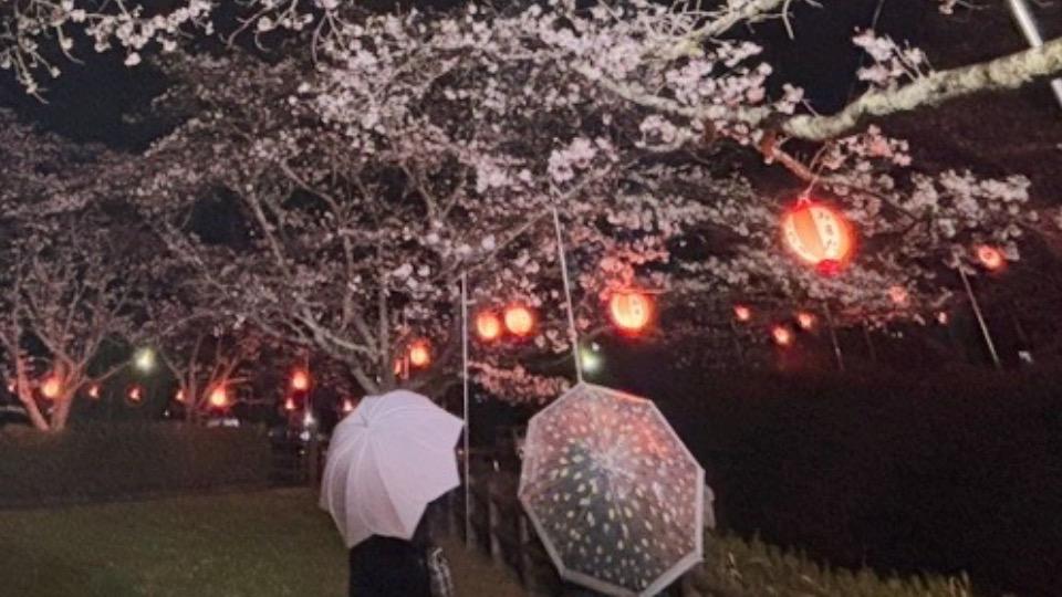 けん玉　夜桜　球のみ Amazon.co.jp: 玉の穴は大きい25mm_ストライプ_滑り止め大皿