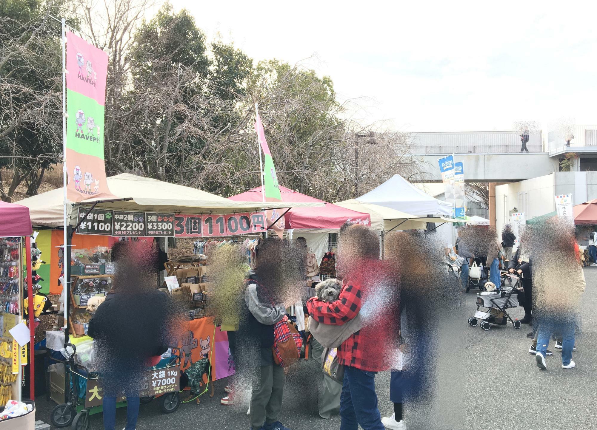 2024年2月開催「第5回 SKYわんにゃんマーケット」の会場風景