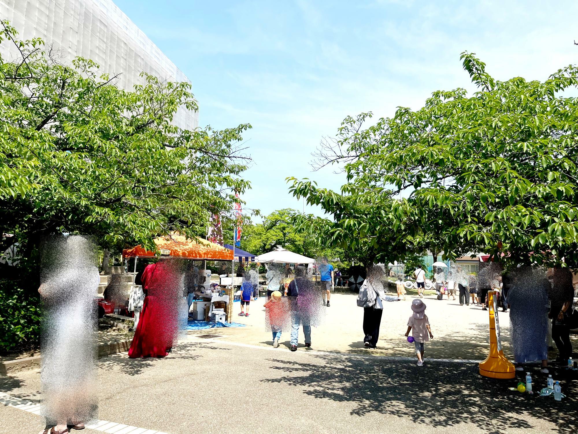 2024年6月に開催された「稲野ピクニックマルシェ」当日の会場風景