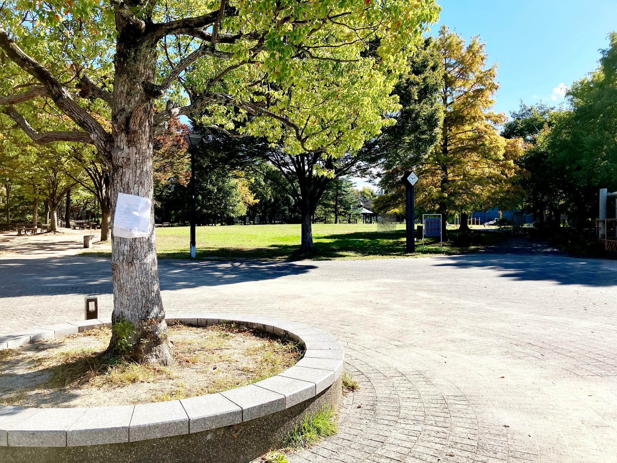 十六名公園 ※11月初旬撮影