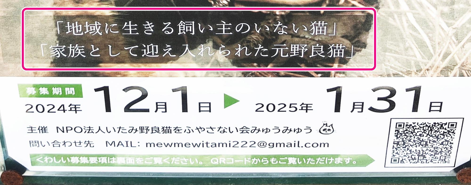 「第5回 みゅうみゅう 猫フォトコンテスト」案内ポスターより