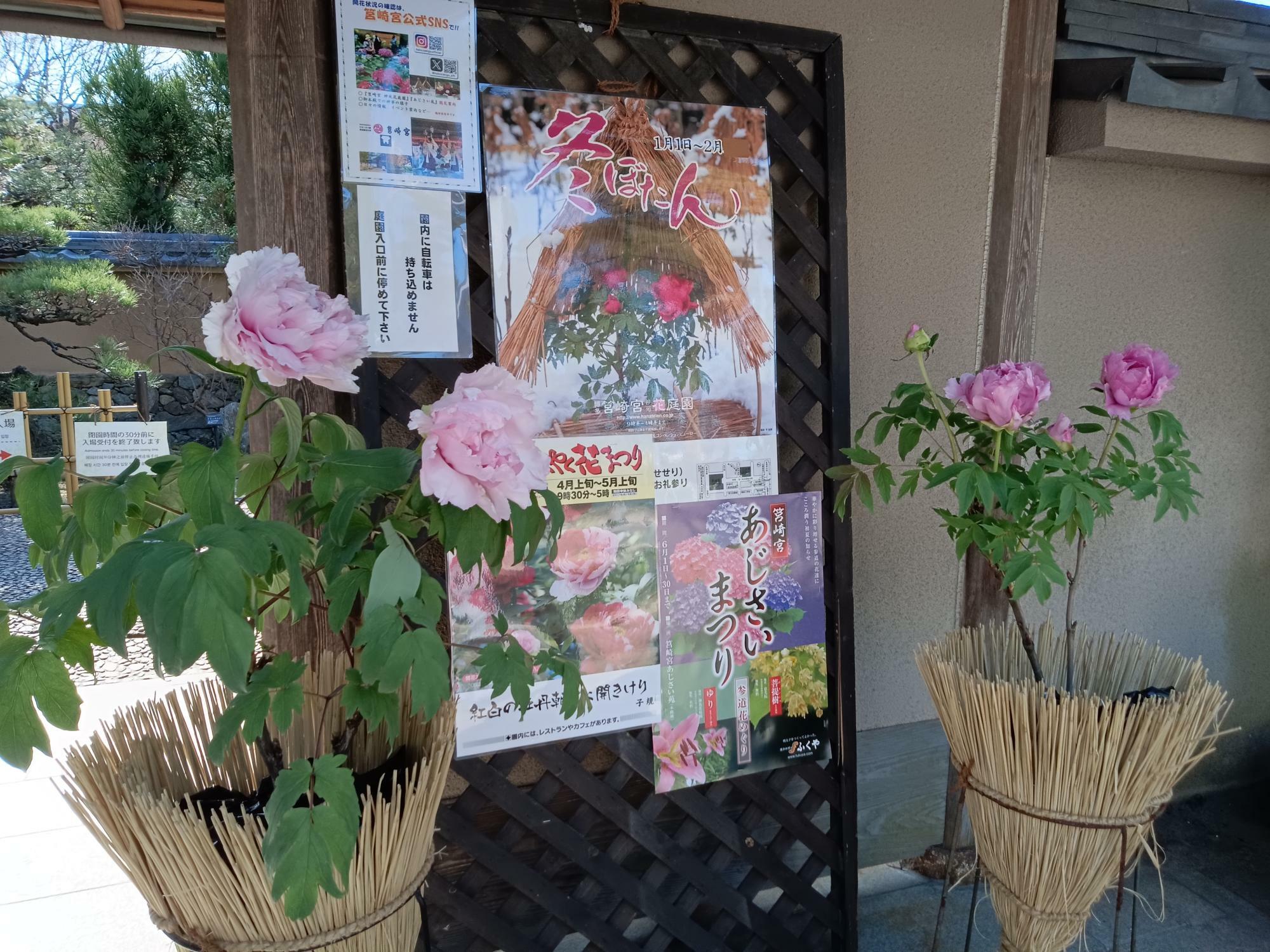 「筥崎宮神苑花庭園」は、季節毎に四季折々の花々を楽しむことができます
