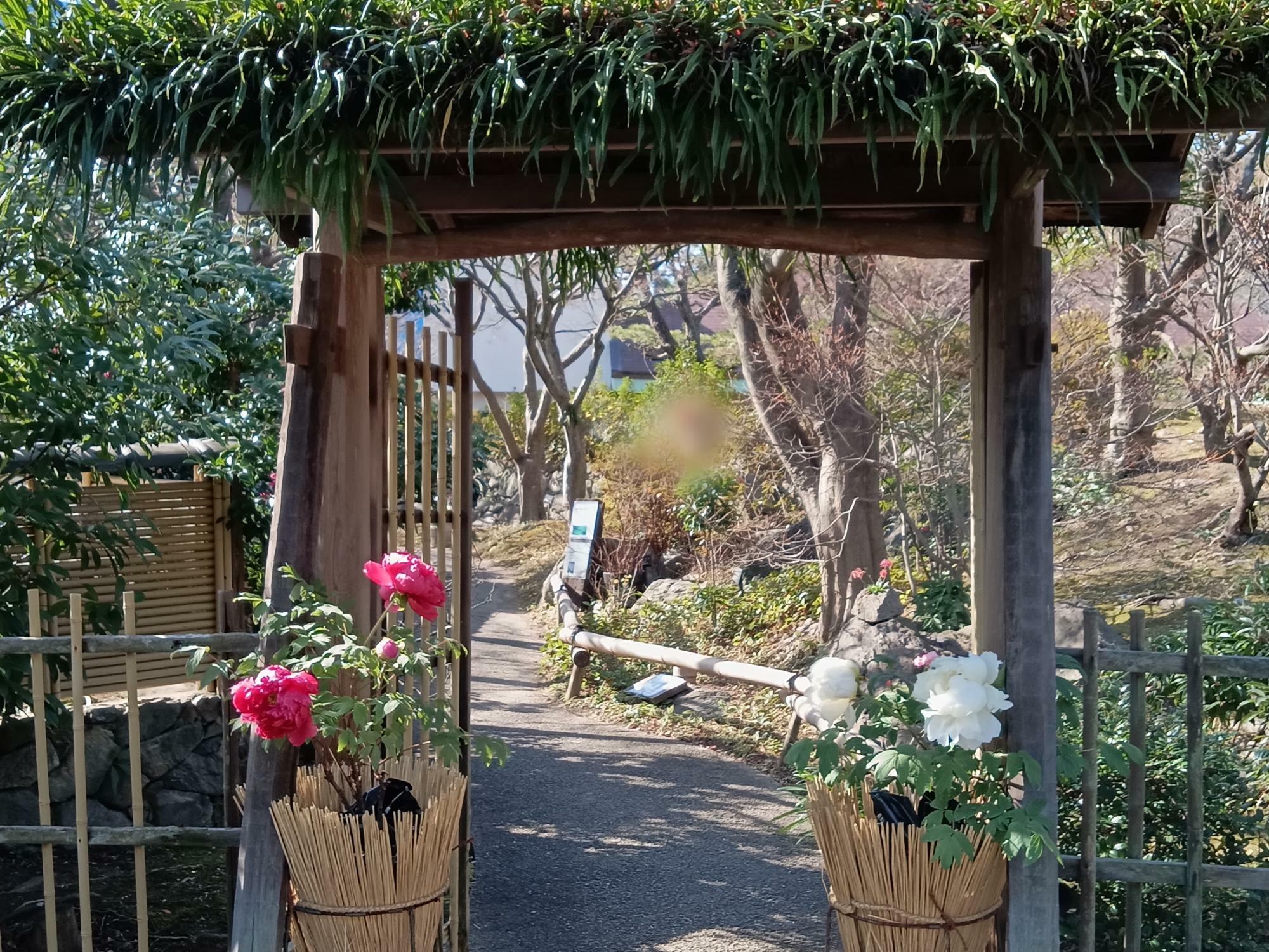 松や苔、石を組み合わせた枯山水を楽しめる本格的な回遊式日本庭園です
