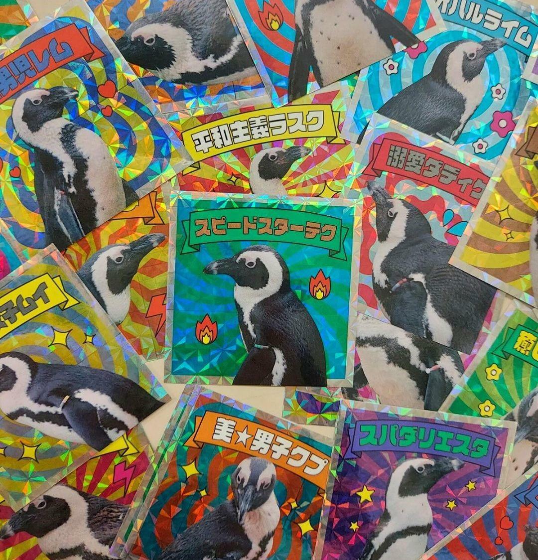 オープニングセレモニーの特典では、ペンギンステッカーが1枚プレゼントされます＜※画像提供：マリンワールド海の中道＞