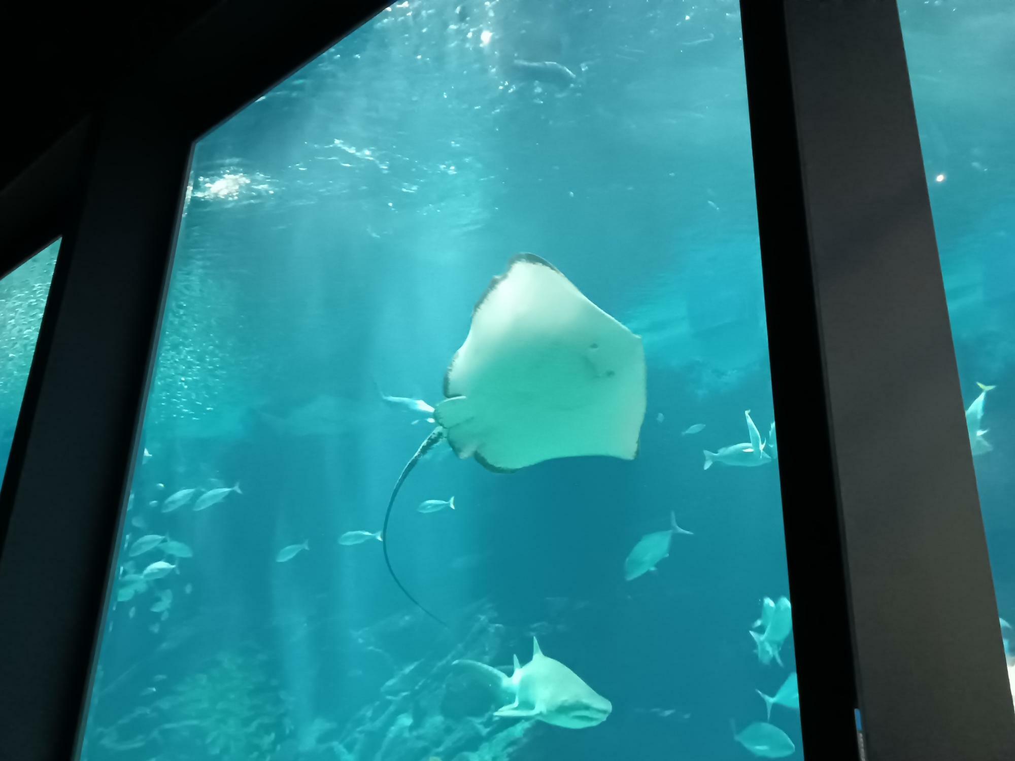 マリンワールド海の中道・館内の水槽