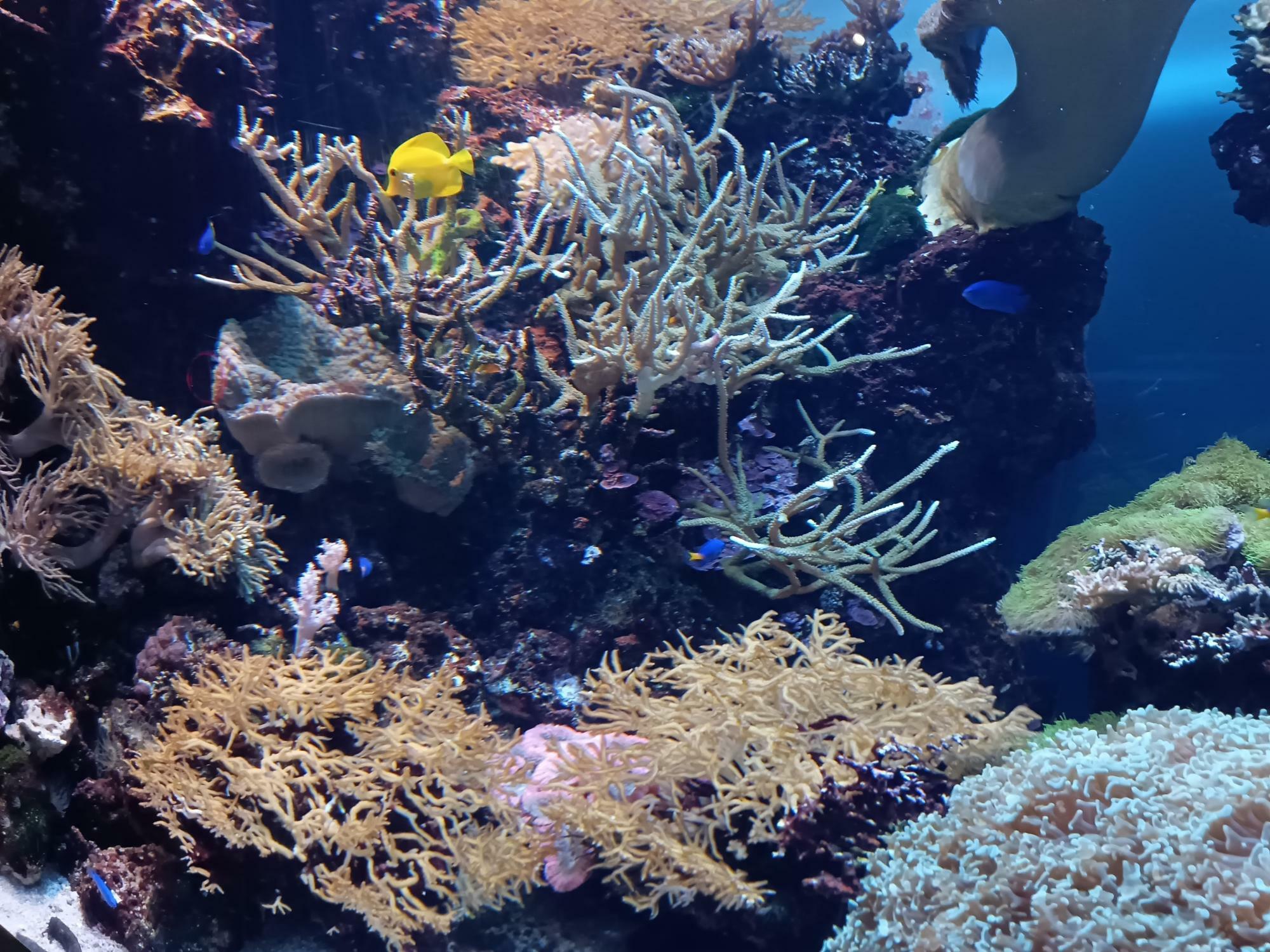 マリンワールド海の中道・館内の水槽