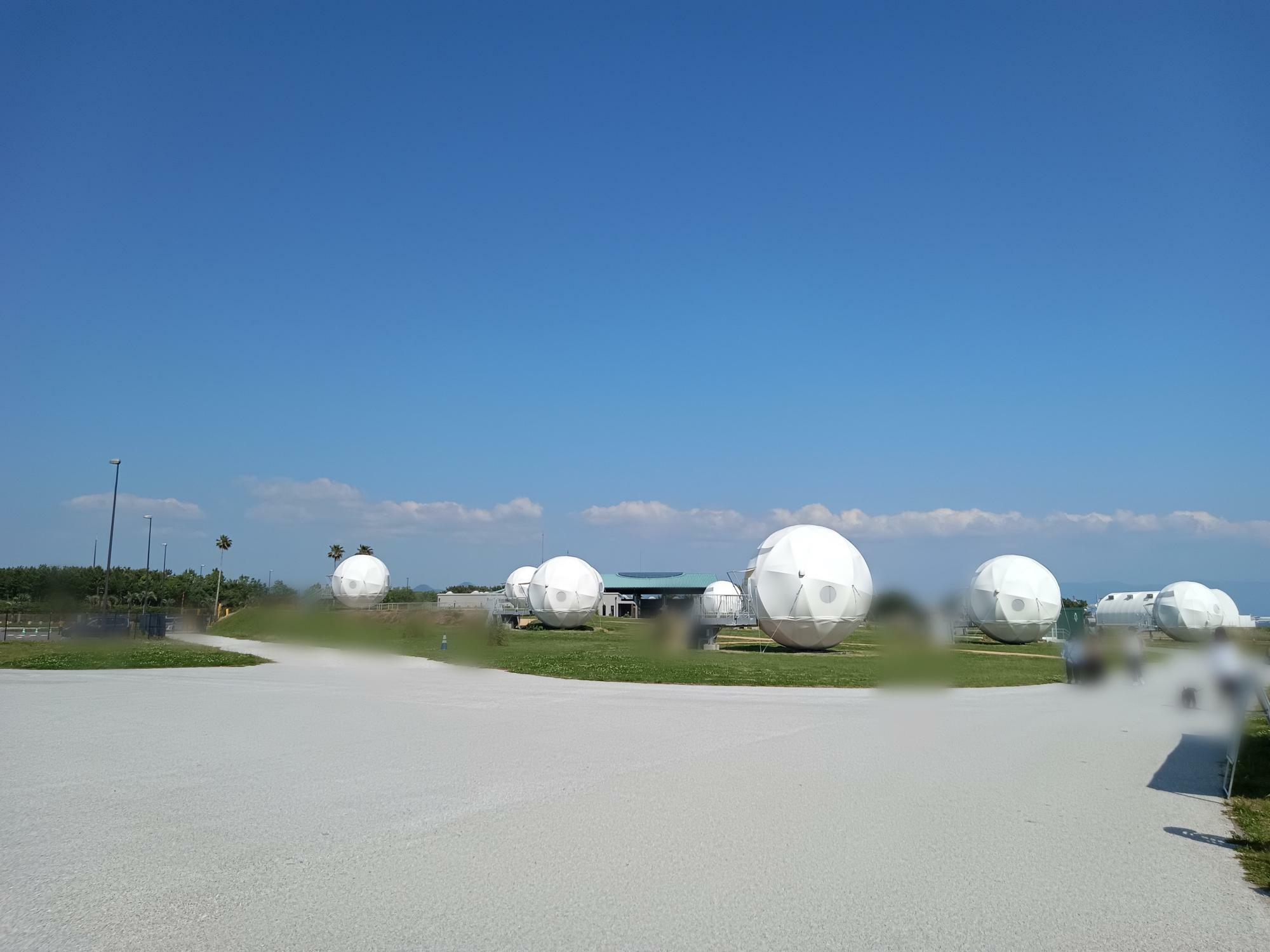 海の中道海浜公園の「光と風の広場」