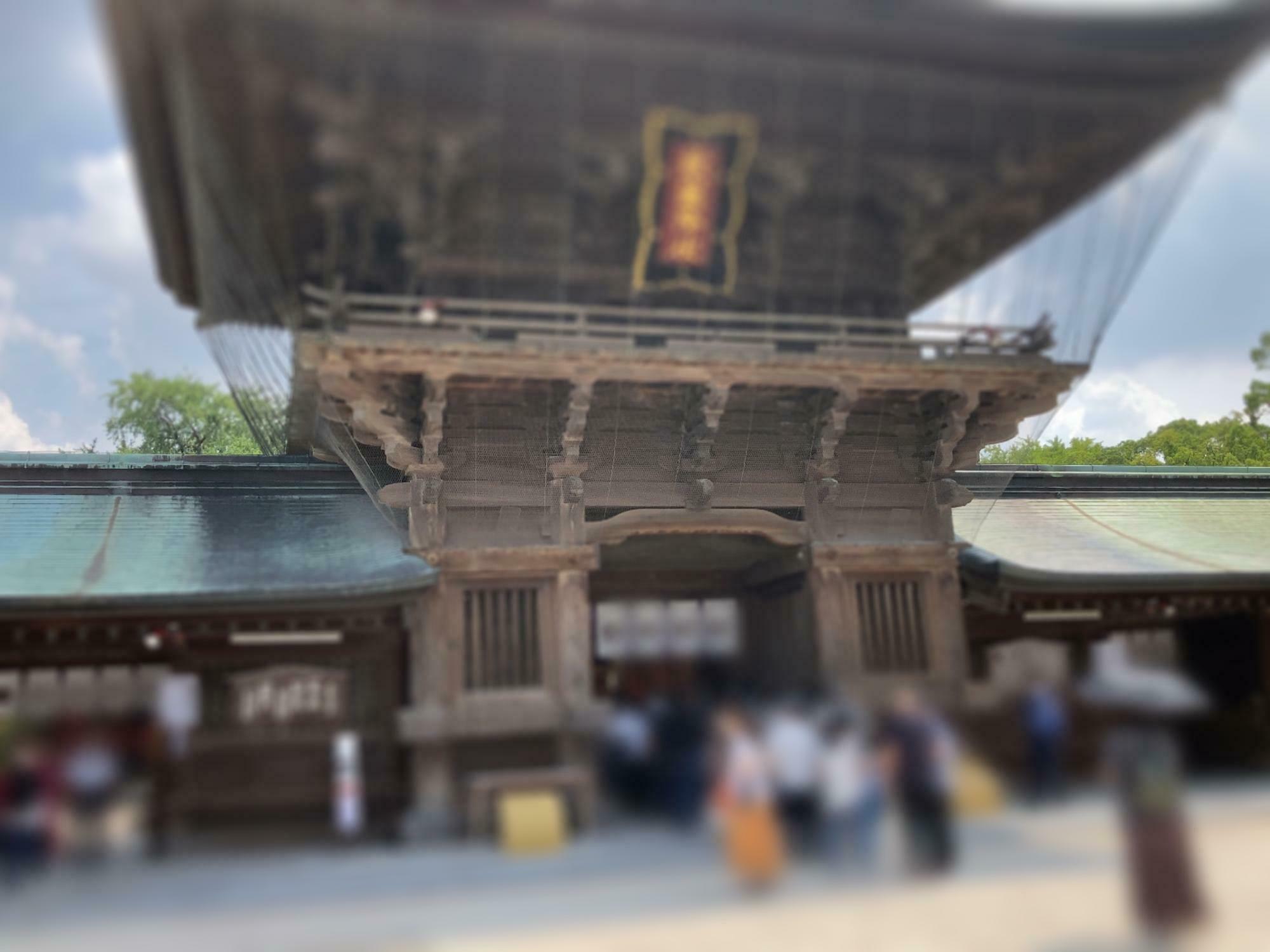 福岡の神社 日本三大八幡「筥崎宮」は、勝運の神としても有名です＜※2023年9月撮影（放生会斎行時）＞