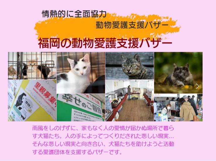 「ワンヘルス＆動物愛護エリア」では、愛護団体を支援するバザーなども開催予定です＜画像提供：わんだふるグループ＞