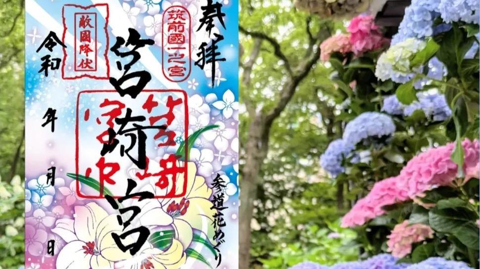 福岡市】筥崎宮で6/30迄、あじさいまつりが開催中です。期間限定