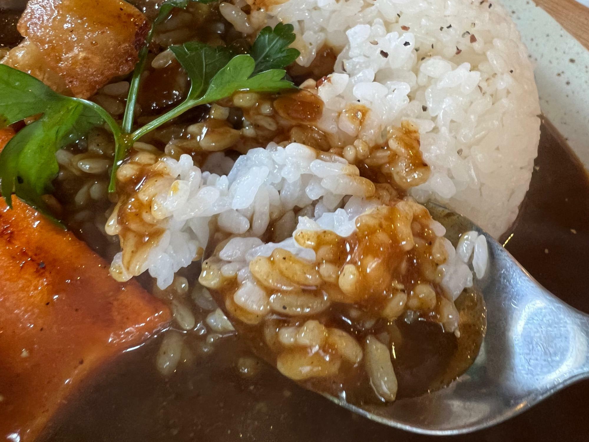 こだわり感じる個性光るカレー