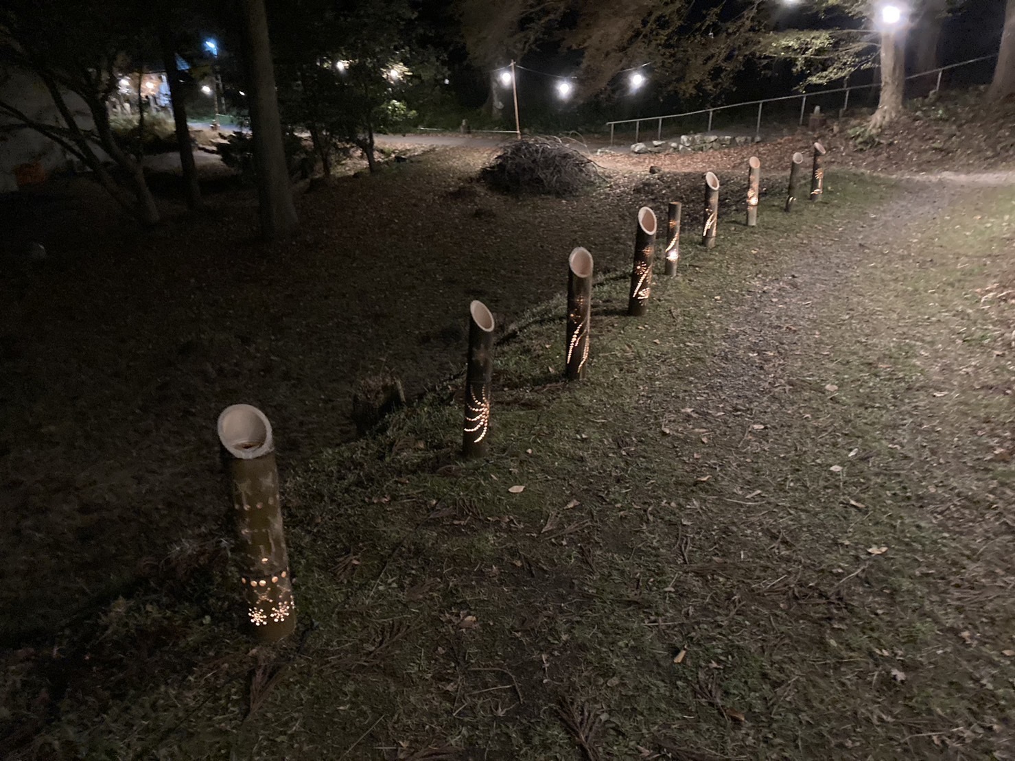 大イチョウにつながる参道に灯る竹灯籠