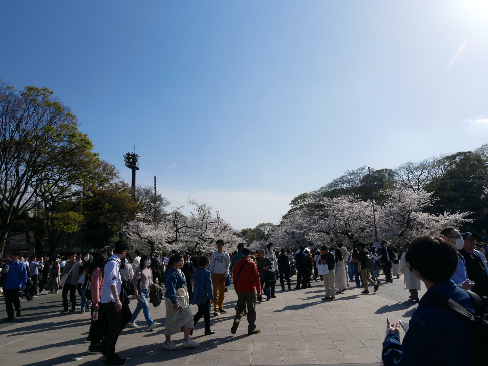 大混雑の上野公園