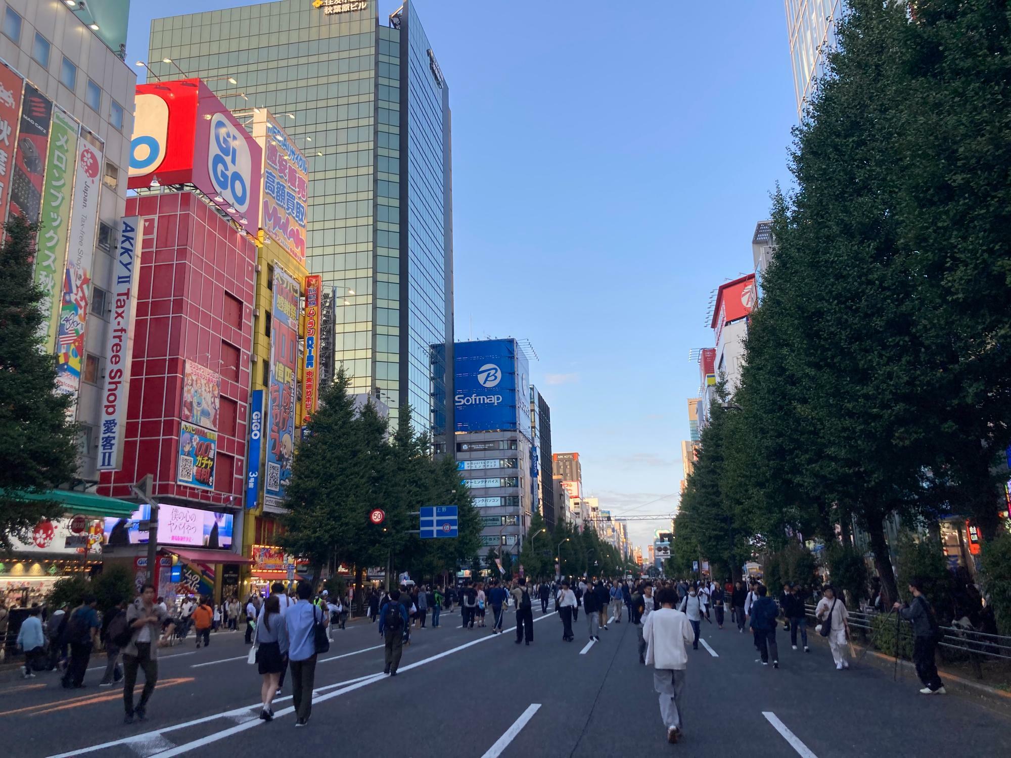 電気街は歩行者天国の日でした