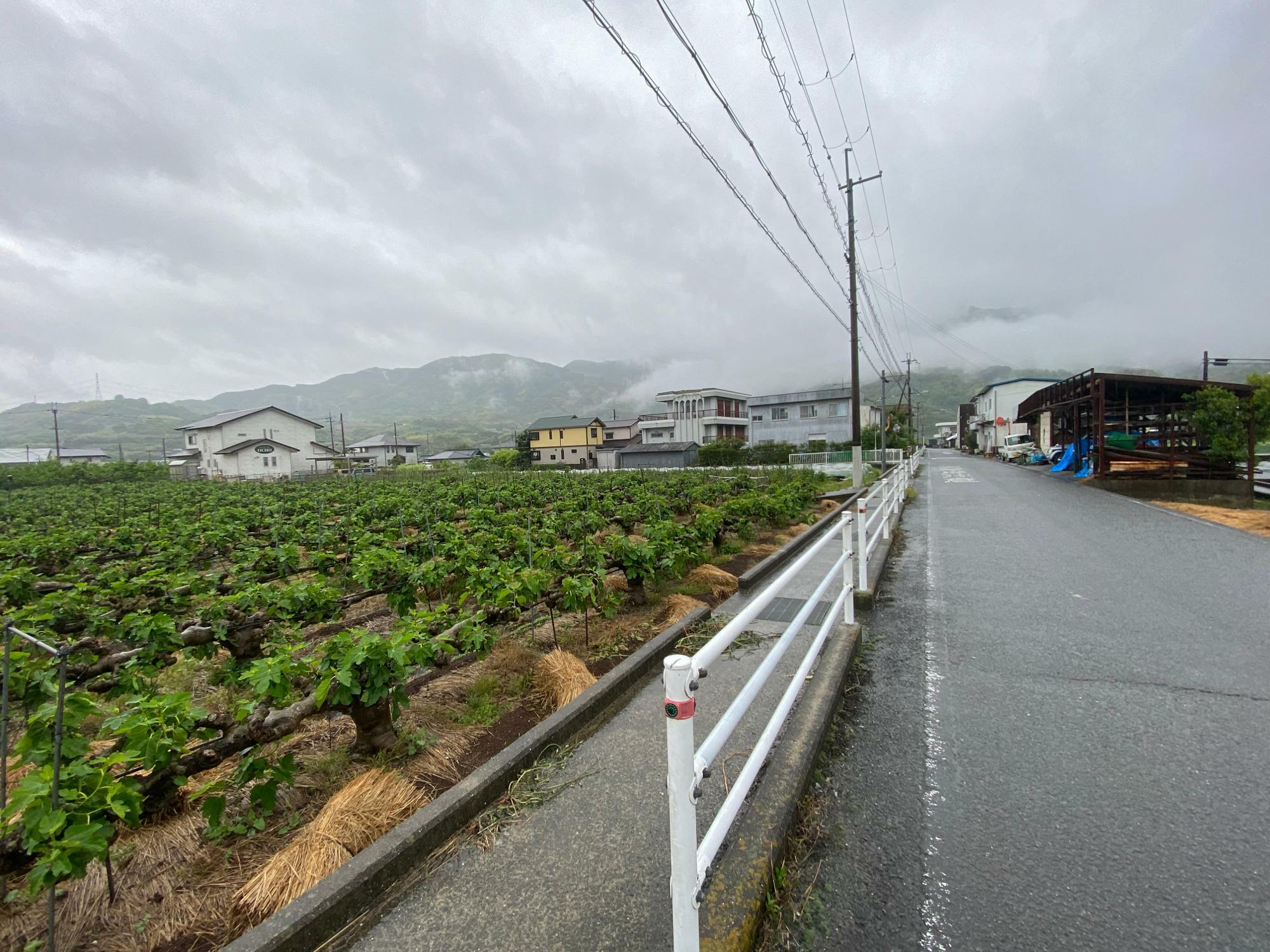 「OCHO」の看板がある、写真左側の白い建物が、店舗。