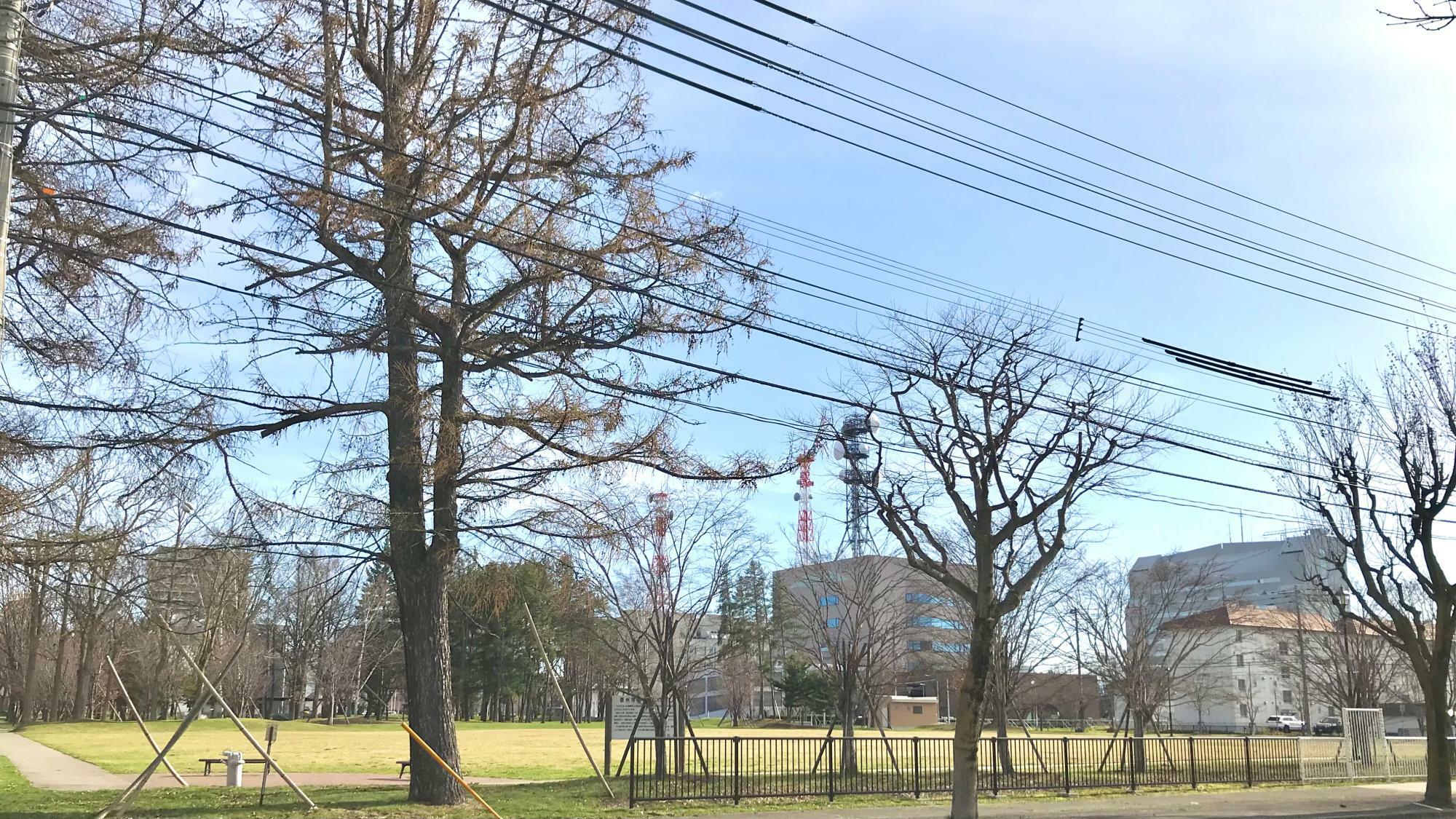 帯広中央公園（帯広市西3条南7丁目）