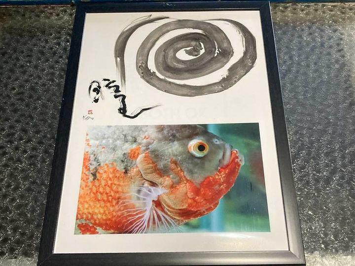 佐藤さんのお気に入りの一枚。金魚をアップで撮影した写真に樋笠さんが「目」「瞳」と描いた