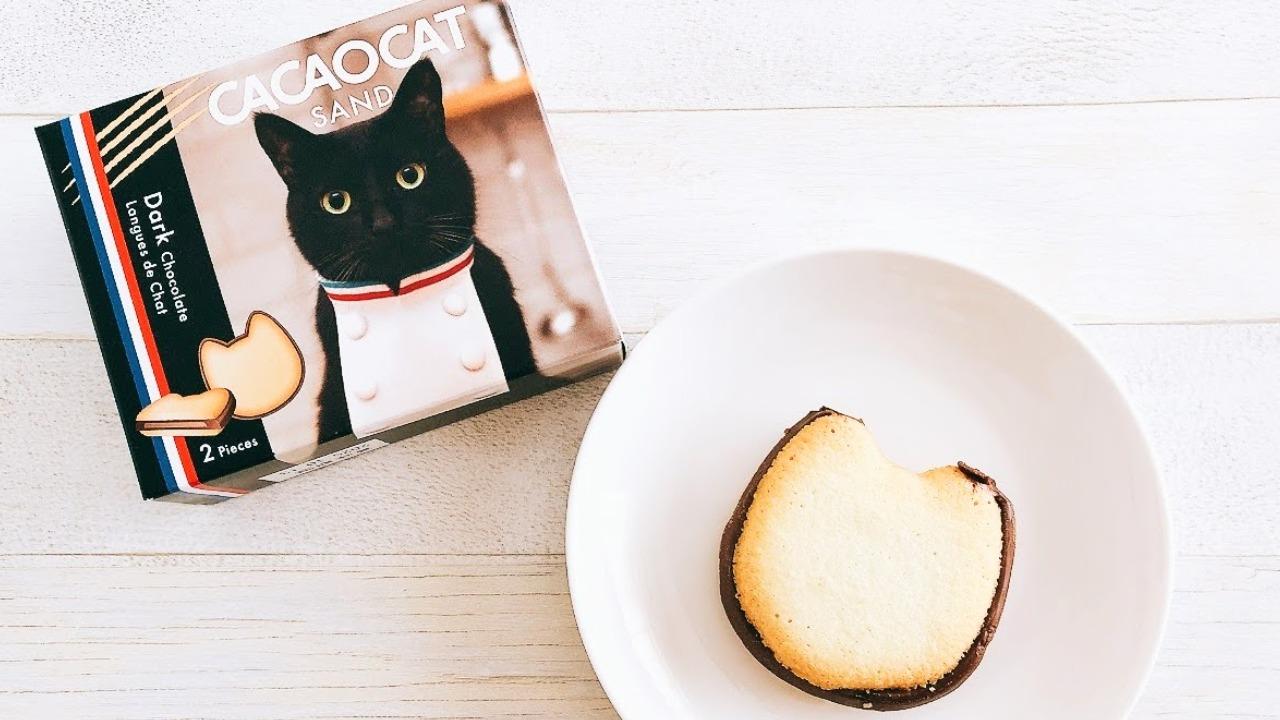ネコの爪跡チョコ」で話題の高級スイーツ店から新作ネコサンドが