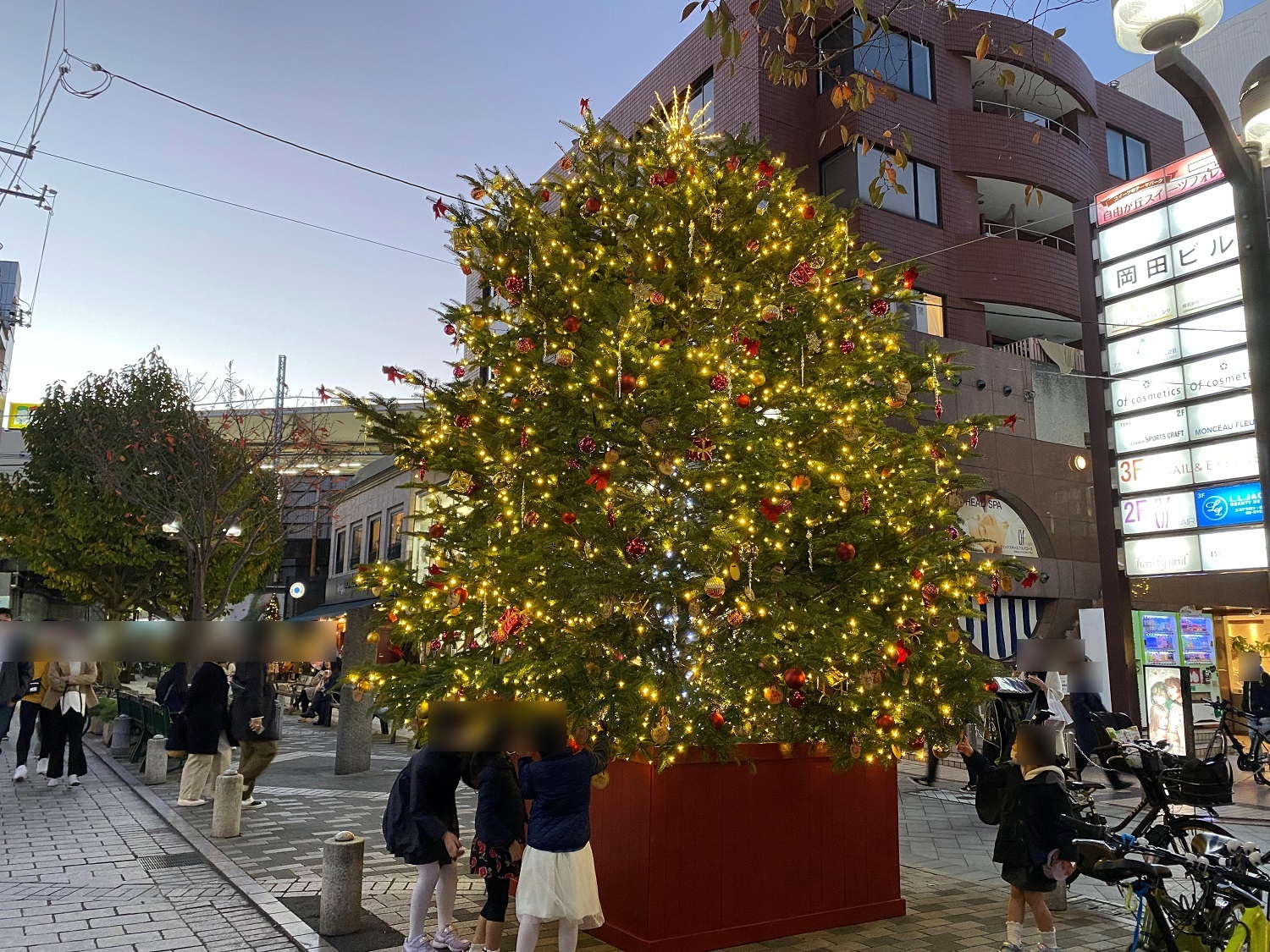 マリクレール通りのクリスマスツリー