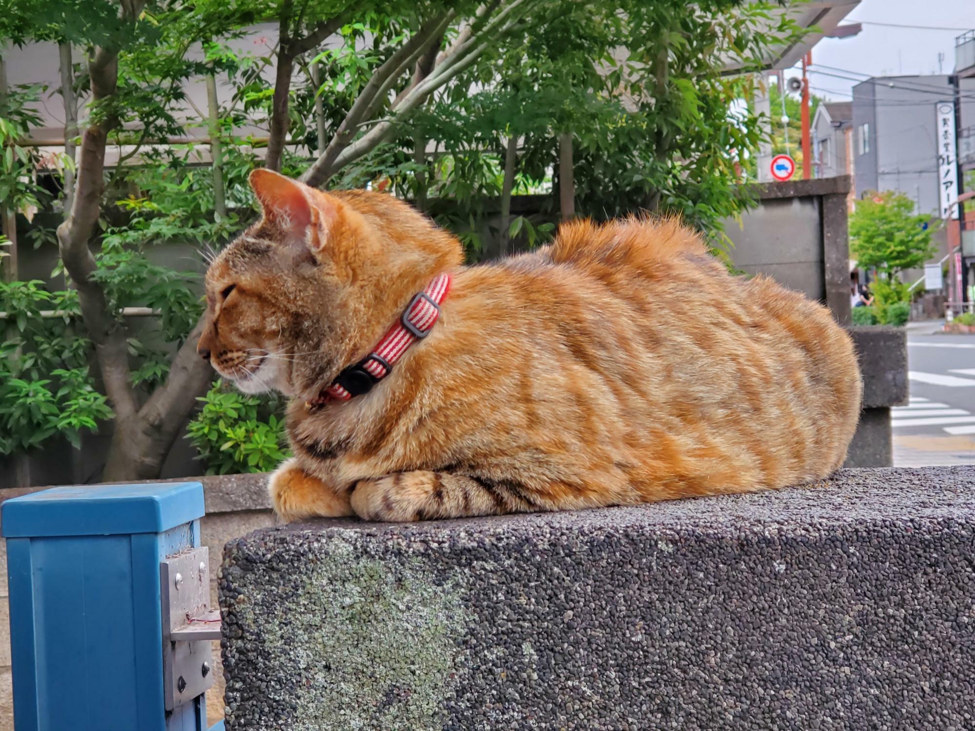 延命寺入口にて撮影