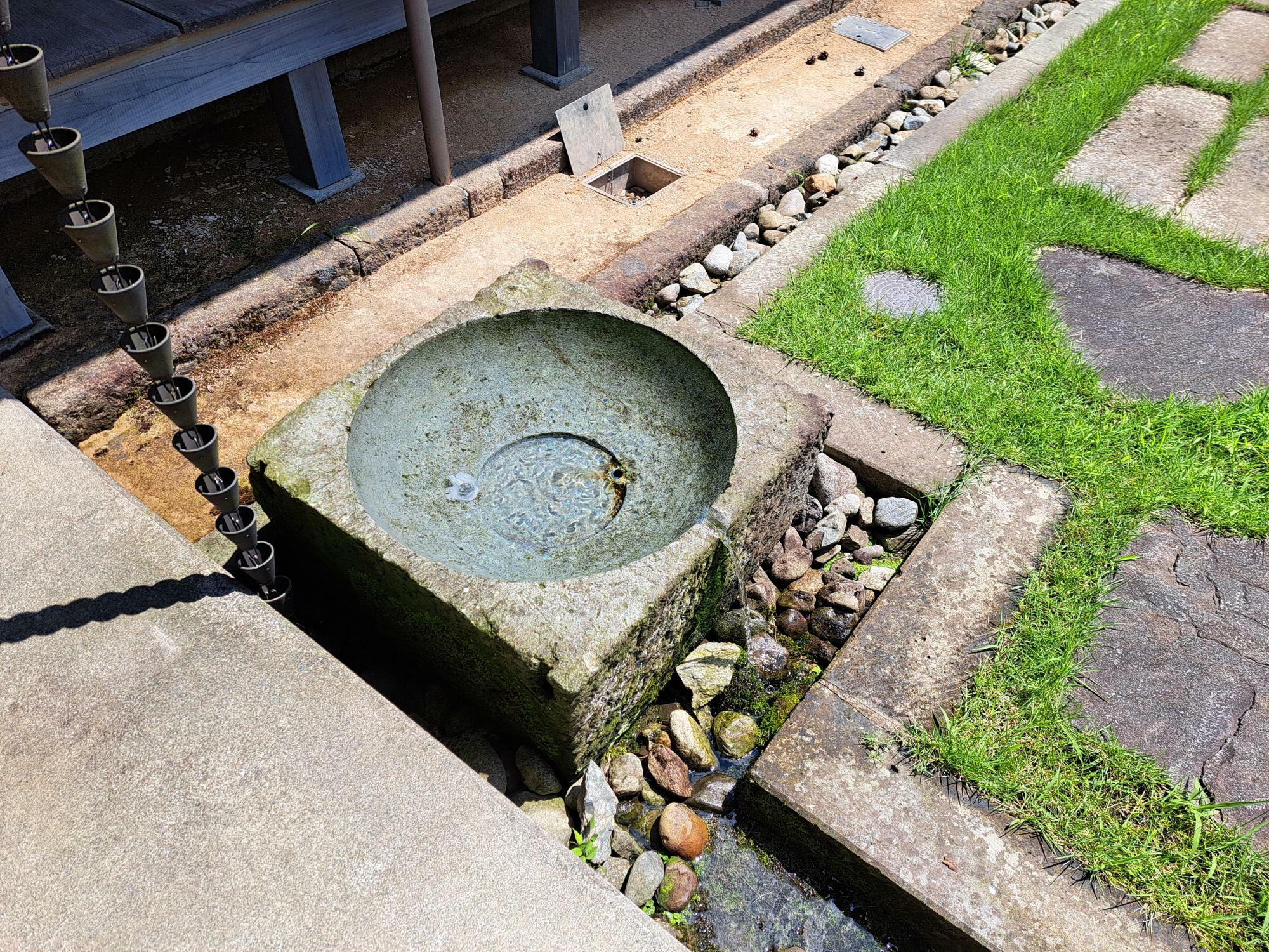 夏は水遊びする子供も