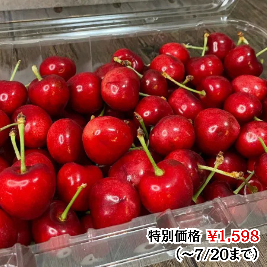 コストコタイムズVol.5】夏到来！即チェック必須のセール＆新商品＋