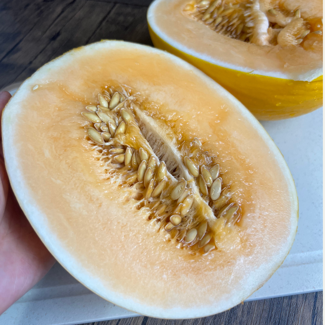 コストコタイムズvol.59】9/24セール情報＆マニア激推し「オレンジ