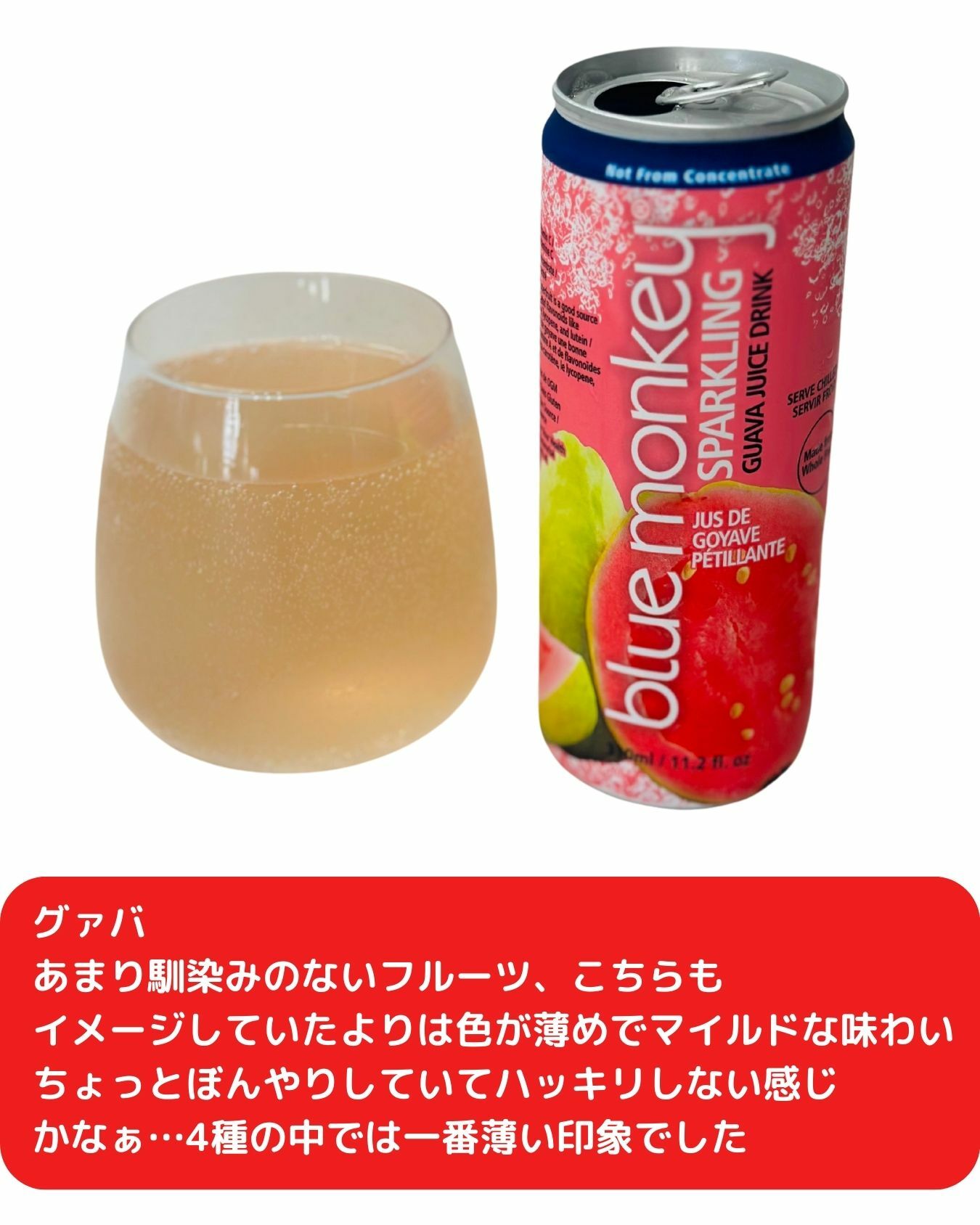 【コストコ】ブルーモンキー　スパークリング　トロピカルジュース　グァバ味