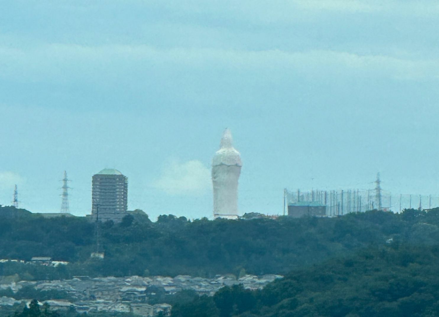 【コストコ】仙台大観音がちょうど半分だけピンクに