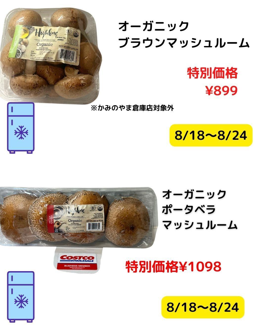 コストコ】8/18～8/24今週のお買い得商品まとめ割引情報【全国