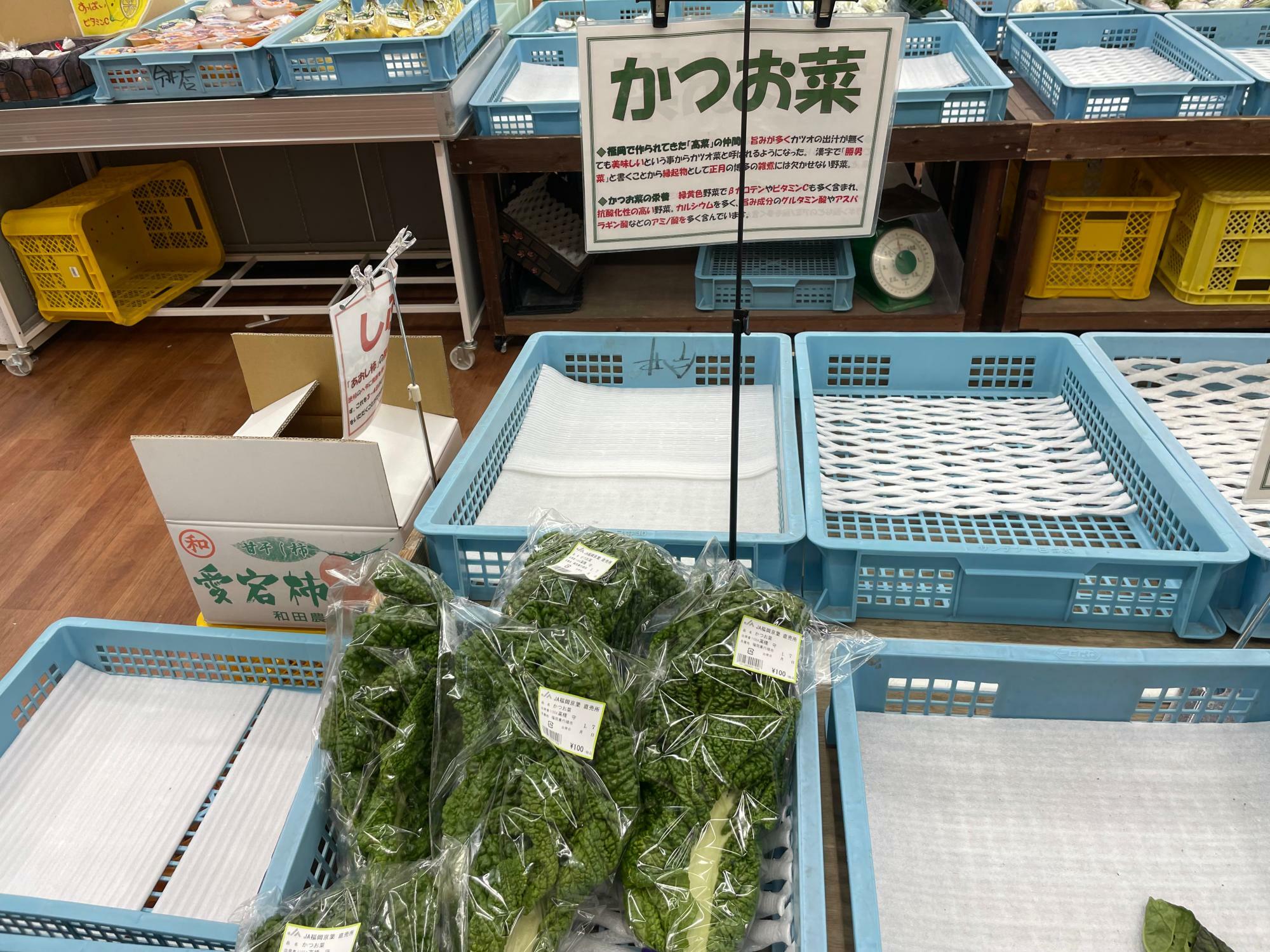 かつお菜（１００円）