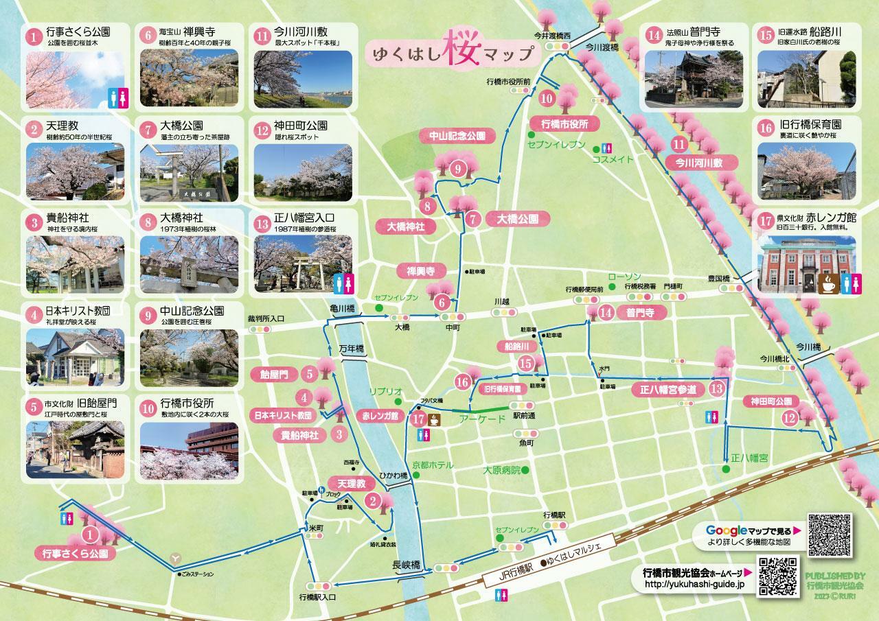 ゆくはし桜ウォーク　画像：行橋市観光協会