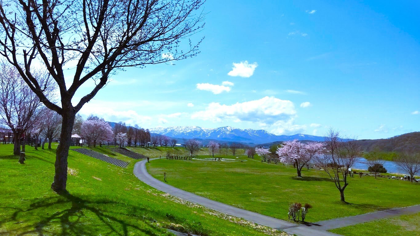 青い空！緑の芝！ピンクの桜！！